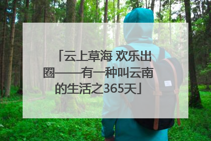云上草海 欢乐出圈——有一种叫云南的生活之365天