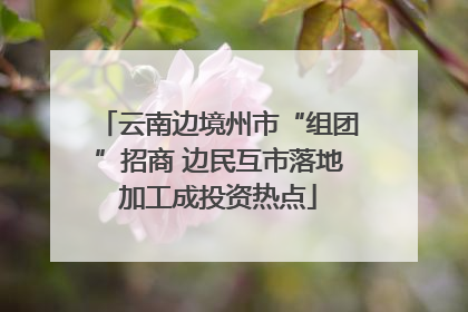云南边境州市“组团”招商 边民互市落地加工成投资热点
