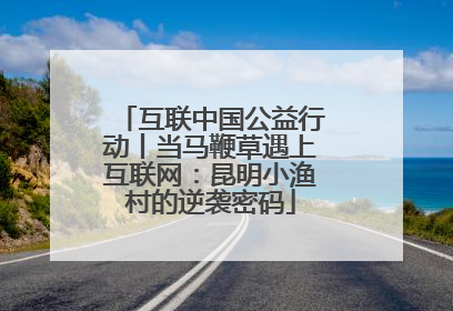 互联中国公益行动丨当马鞭草遇上互联网：昆明小渔村的逆袭密码