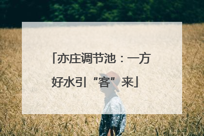 亦庄调节池：一方好水引“客”来