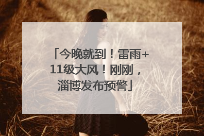 今晚就到！雷雨+11级大风！刚刚，淄博发布预警
