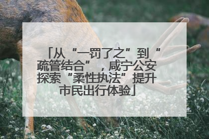 从“一罚了之”到“疏管结合”，咸宁公安探索“柔性执法”提升市民出行体验