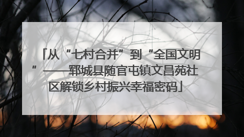 从“七村合并”到“全国文明”——郓城县随官屯镇文昌苑社区解锁乡村振兴幸福密码