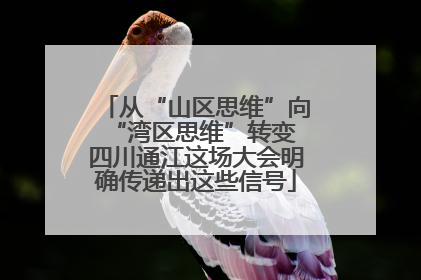 从“山区思维”向“湾区思维”转变 四川通江这场大会明确传递出这些信号