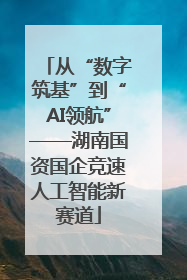 从“数字筑基”到“AI领航”——湖南国资国企竞速人工智能新赛道