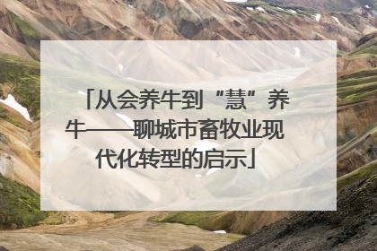 从会养牛到“慧”养牛——聊城市畜牧业现代化转型的启示