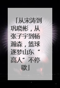 从宋涛到巩晓彬，从张子宇到杨瀚森，篮球逐梦山东“高人”不停歇