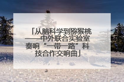 从脑科学到猕猴桃——中外联合实验室奏响“一带一路”科技合作交响曲