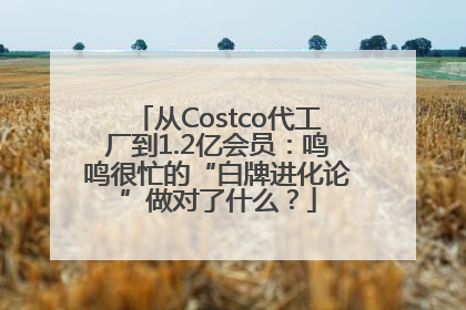 从Costco代工厂到1.2亿会员：鸣鸣很忙的“白牌进化论”做对了什么？
