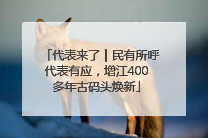 代表来了｜民有所呼代表有应，增江400多年古码头焕新