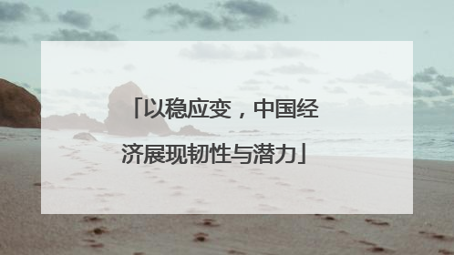 以稳应变，中国经济展现韧性与潜力