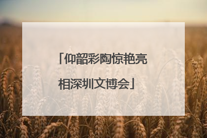 仰韶彩陶惊艳亮相深圳文博会