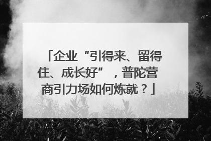 企业“引得来、留得住、成长好”，普陀营商引力场如何炼就？