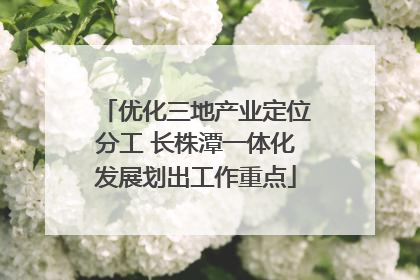 优化三地产业定位分工 长株潭一体化发展划出工作重点