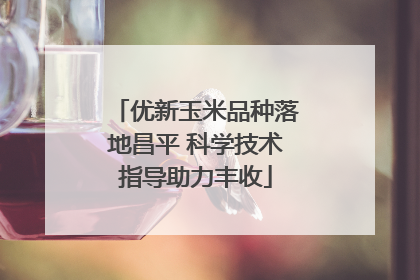 优新玉米品种落地昌平 科学技术指导助力丰收