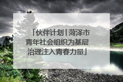 伙伴计划│菏泽市青年社会组织为基层治理注入青春力量