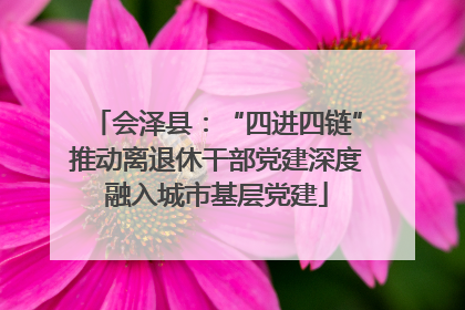 会泽县：“四进四链”推动离退休干部党建深度融入城市基层党建
