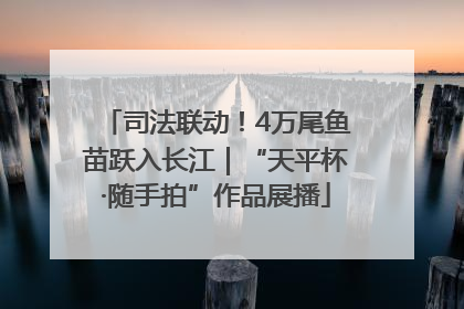 司法联动！4万尾鱼苗跃入长江｜“天平杯·随手拍”作品展播