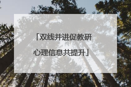 双线并进促教研 心理信息共提升