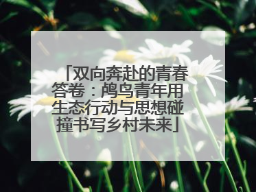 双向奔赴的青春答卷：鸬鸟青年用生态行动与思想碰撞书写乡村未来