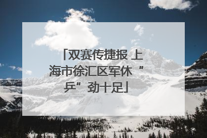 双赛传捷报 上海市徐汇区军休“乒”劲十足
