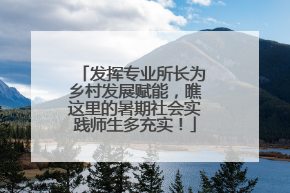 发挥专业所长为乡村发展赋能，瞧这里的暑期社会实践师生多充实！