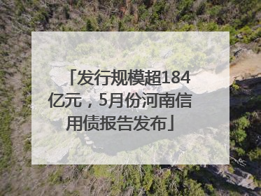 发行规模超184亿元，5月份河南信用债报告发布