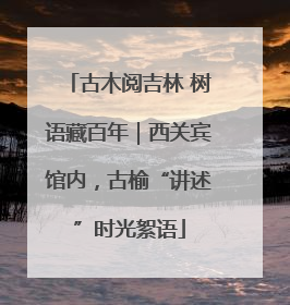古木阅吉林 树语藏百年｜西关宾馆内，古榆“讲述”时光絮语