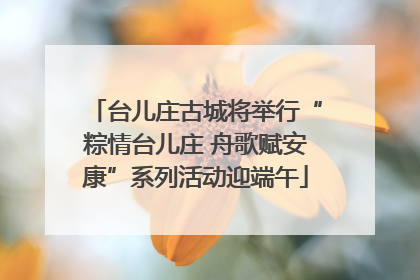 台儿庄古城将举行“粽情台儿庄 舟歌赋安康”系列活动迎端午