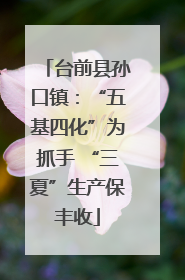 台前县孙口镇：“五基四化”为抓手 “三夏”生产保丰收