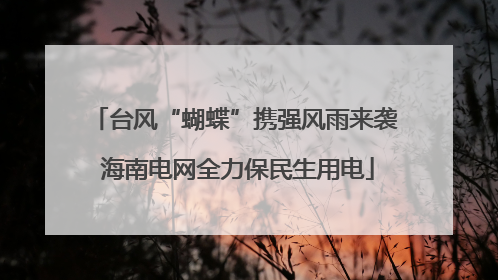 台风“蝴蝶”携强风雨来袭 海南电网全力保民生用电