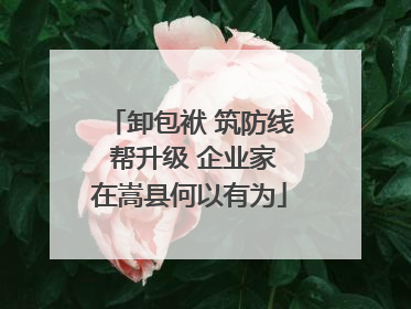 卸包袱 筑防线 帮升级 企业家在嵩县何以有为