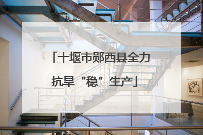 十堰市郧西县全力抗旱“稳”生产