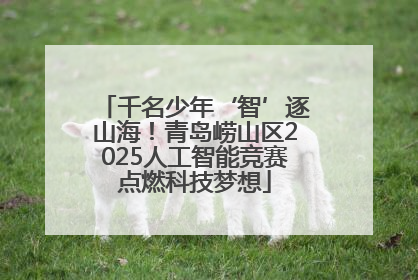 千名少年‘智’逐山海！青岛崂山区2025人工智能竞赛点燃科技梦想
