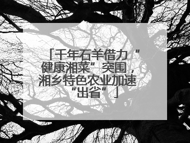 千年石羊借力“健康湘菜”突围，湘乡特色农业加速“出省”