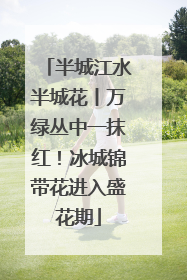 半城江水半城花丨万绿丛中一抹红！冰城锦带花进入盛花期