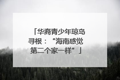 华裔青少年琼岛寻根：“海南感觉第二个家一样”