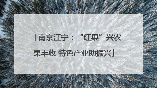 南京江宁：“红果”兴农果丰收 特色产业助振兴