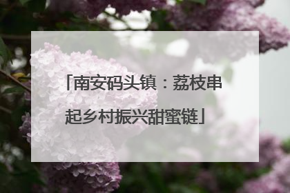 南安码头镇：荔枝串起乡村振兴甜蜜链