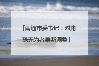 南通市委书记：对庸碌无为者果断调整