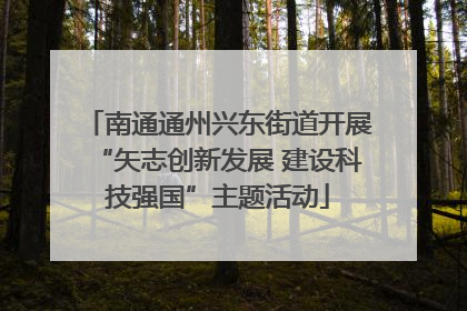南通通州兴东街道开展“矢志创新发展 建设科技强国”主题活动