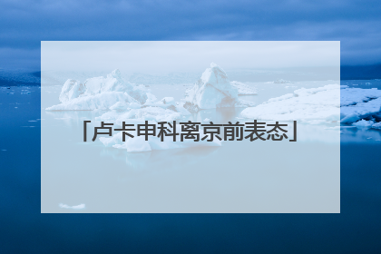 卢卡申科离京前表态