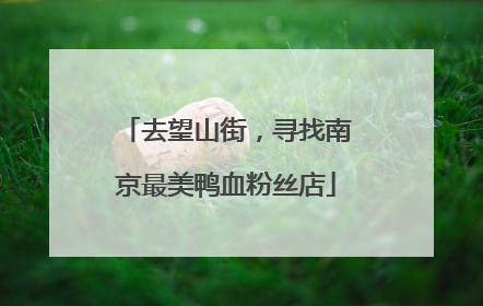 去望山街，寻找南京最美鸭血粉丝店