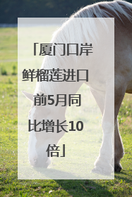 厦门口岸鲜榴莲进口 前5月同比增长10倍