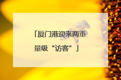 厦门港迎来两重量级“访客”