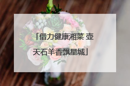 借力健康湘菜 壶天石羊香飘星城