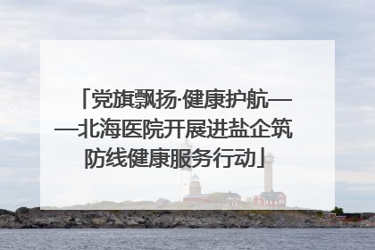 党旗飘扬·健康护航——北海医院开展进盐企筑防线健康服务行动