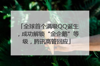 全球首个满级QQ诞生，成功解锁“金企鹅”等级，腾讯高管回应
