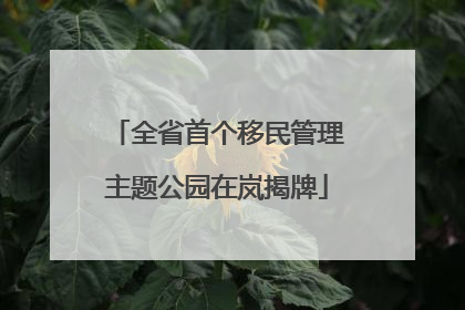 全省首个移民管理主题公园在岚揭牌