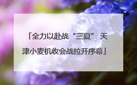 全力以赴战“三夏” 天津小麦机收会战拉开序幕